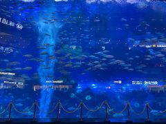 -成都浩海立方海洋公园