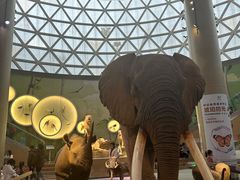 -陕西自然博物馆