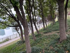 -美兰湖景区