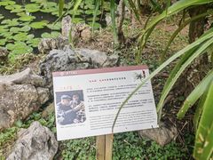 -中国科学院西双版纳热带植物园