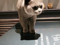 -吱咖啡西式简餐