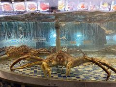 -顺德了能馆(虎门店)