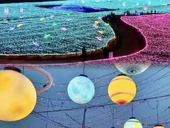 -亚心花海主题乐园