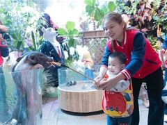 -全优加早教托育园(广百新一城店)