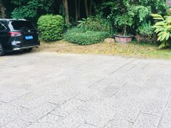 -福建鲤鱼洲酒店