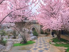 -回龙窝历史文化街区