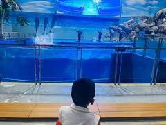 -福州罗源湾海洋世界旅游区