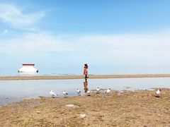 -青海湖国家重点风景名胜区