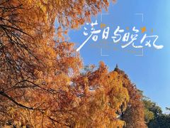 -中国科学院华南植物园