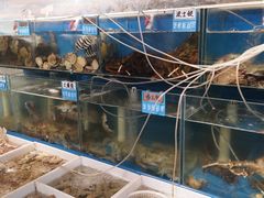 水产区-77号·蒸海鲜青岛菜(积米崖店)