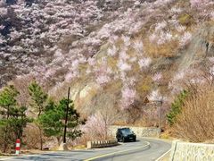-妙峰山风景名胜区