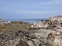 -养马岛旅游度假区