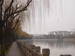-扬州古运河