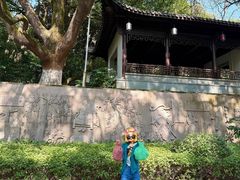 -杭州半山国家森林公园