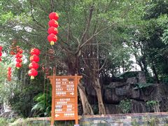 -广州市流溪河国家森林公园