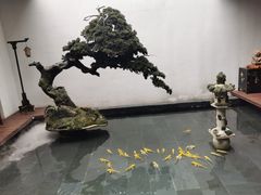 -觀芷隐轩