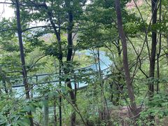 -黄金寨原生态旅游区