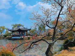 -无锡蠡湖国家湿地公园-蠡园