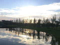 -白鹭湾湿地公园