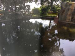 -鼓浪屿钢琴博物馆