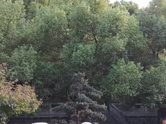 -鼓楼(西湖风景名胜区)