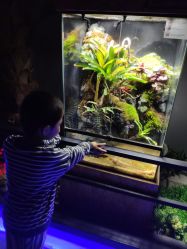 -未来动物城动物主题公园(大悦城店)