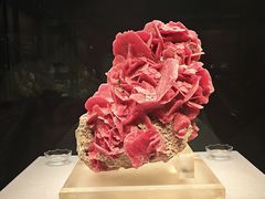 -湖南省地质博物馆