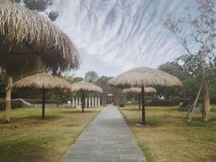 -武汉紫薇都市田园