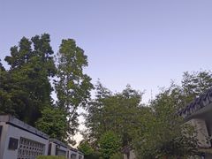-林丰温泉度假山庄