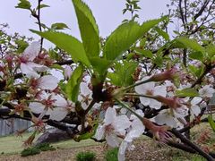 -浙江农林大学(东湖校区)