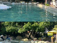 -云南滇池花园国际大酒店温泉