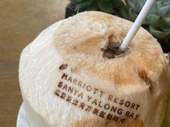 -三亚亚龙湾万豪度假酒店
