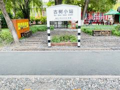 -北山公园