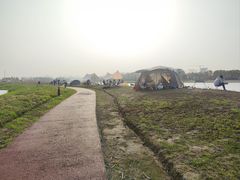 -春花秋色城市公园