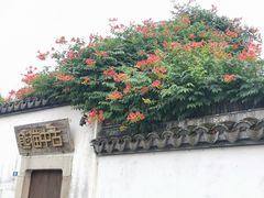 景点-青果巷历史文化街区