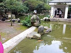 -黔灵山公园