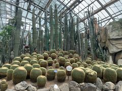 -南山植物园