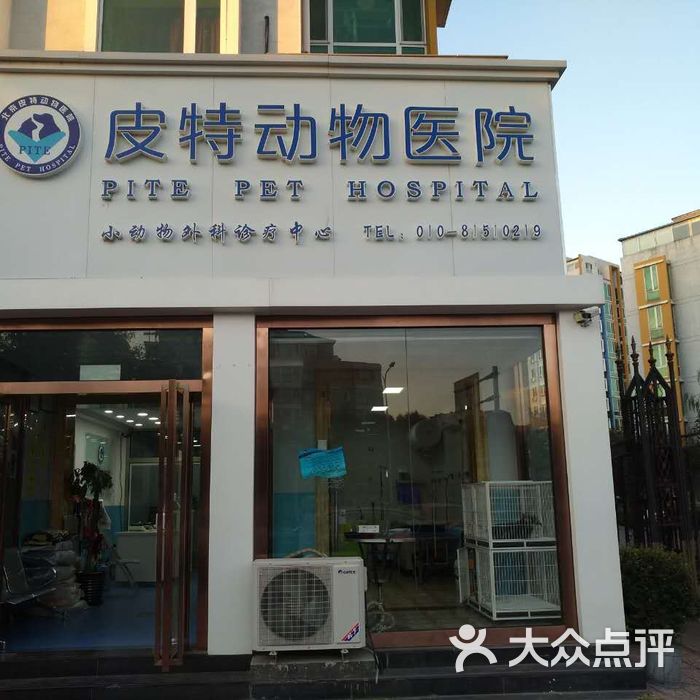 皮特动物医院图片-北京宠物医院-大众点评网