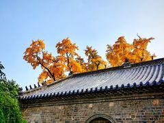 -浮来山风景区