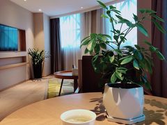 -曙光薇酒店(南京夫子庙老门东店)