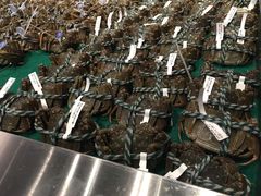 -7fresh七鲜(大族广场店)
