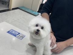 -安安宠医宠物医院·异宠·犬猫内科(岳阳分院)