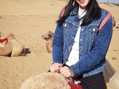 -银肯塔拉沙漠生态旅游景区