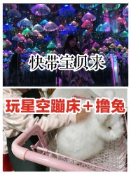 点击看大图 -萌兔星空蹦床撸兔馆