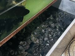 -大理.老字号渝记酸萝卜乌鱼(古城总店)