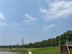 -洨河生态公园