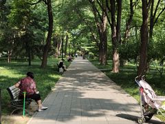 -玲珑塔公园