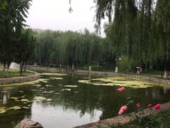 -裕华世纪公园