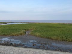 -南汇嘴观海公园