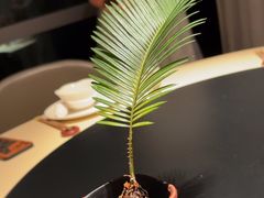 -梅花境(万科店)
